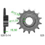 545260814A.jpg Pignone afam in acciaio p525 - z14 (dis.52608)