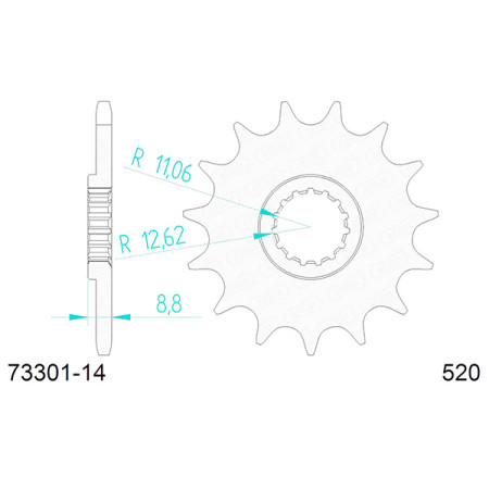 547330114A.jpg Pignone afam in acciaio p520 - z14 (dis.73301)