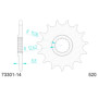 547330114A.jpg Pignone afam in acciaio p520 - z14 (dis.73301)