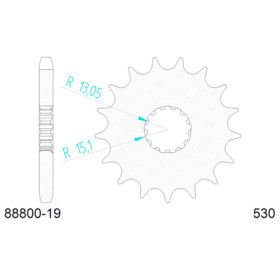 548880019A.jpg Pignone afam in acciaio p530 - z19 (dis.88800)