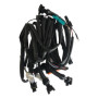 874003.jpg Cablaggio per centralina evo e racing (rif.rapidbi