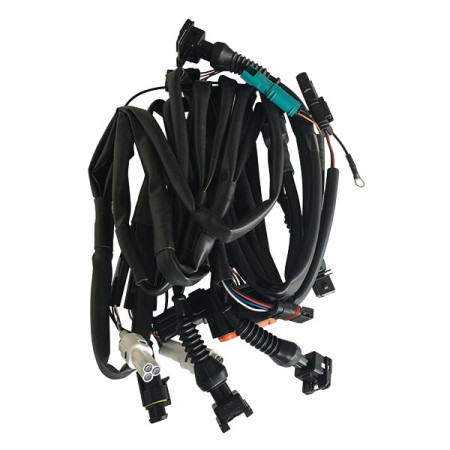 874003.jpg Cablaggio per centralina evo e racing (rif.rapidbi