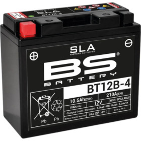 246650095.jpg BATTERIA BS SLA BT12B-4