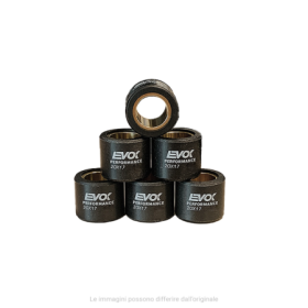 Evok-100480103.png KIT RULLI EVOK IRON DRIVE 20X17MM 14GR