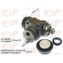 9706.jpg CILINDRETTO FRENO ANTERIORE APE TM - CAR BENZINA E DIESEL