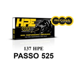 405803075.jpg CATENA REGINA 137HPE 124 MAGLIE