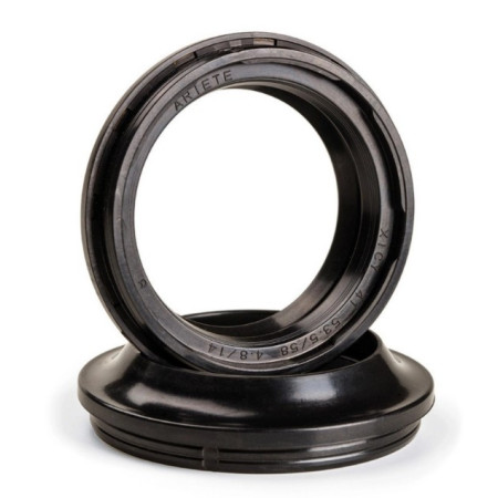 ARI044.jpg ARI PARAOLIO 37 X 50 X 11 DCY