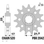2042 16 18NC.jpg PIGNONI CBR-RR (C.520) +FORI 18NC