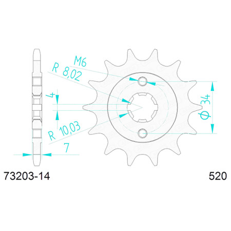 540052114A.jpg Pignone afam in acciaio p520 - z14 (dis.00521)