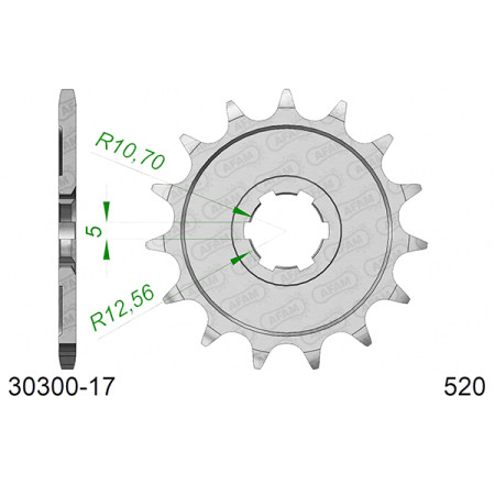 543030017A.jpg Pignone afam in acciaio p520 - z17 (dis.30300)