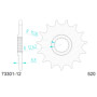 547330112A.jpg Pignone afam in acciaio p520 - z12 (dis.73301)