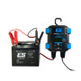 459020_01.jpg Caricabatterie energysafe 6v/12v premium duo pro 6
