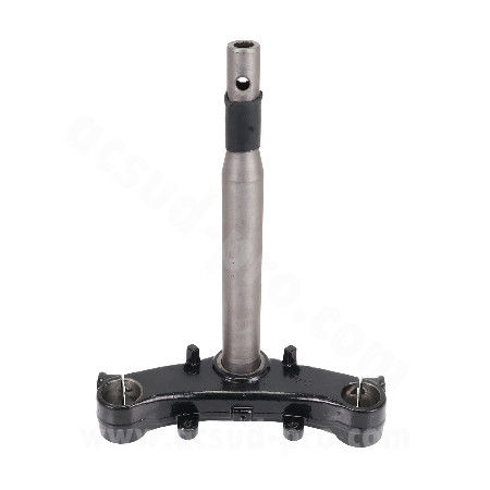 290181E.jpg TESTA FORCELLA SH 125/150 13-19