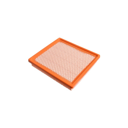 BLU-ADA102204.jpg FILTRO ARIA