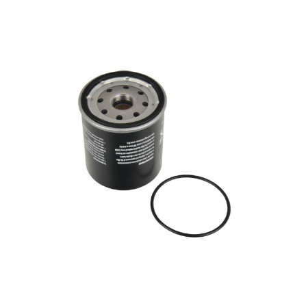 BLU-ADA102305.jpg FILTRO CARBURANTE