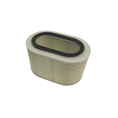 BLU-ADC42210.jpg FILTRO ARIA