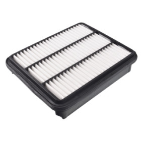 BLU-ADC42225.jpg FILTRO ARIA