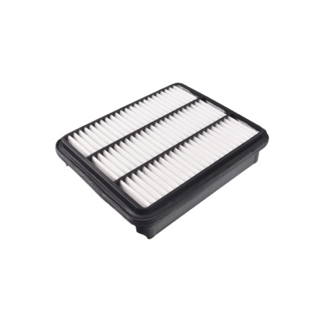 BLU-ADC42225.jpg FILTRO ARIA