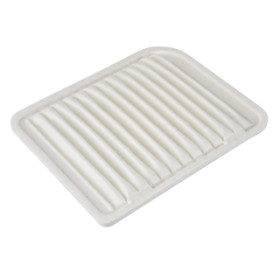 BLU-ADC42246.jpg FILTRO ARIA