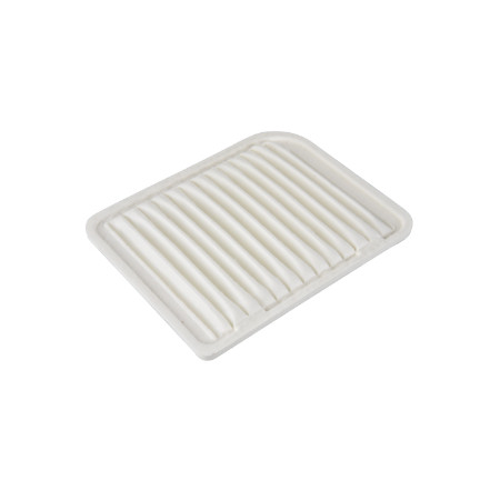 BLU-ADC42246.jpg FILTRO ARIA