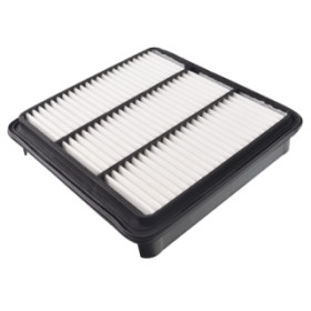 BLU-ADC42256.jpg FILTRO ARIA