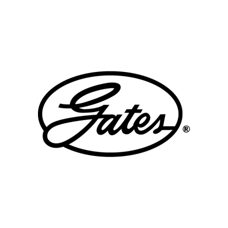 PIGNONE POSTERIORE CDN - 22T ALFINE / NEXUS